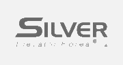 silver_partner